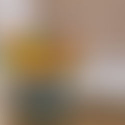 spring flowers in rain boots