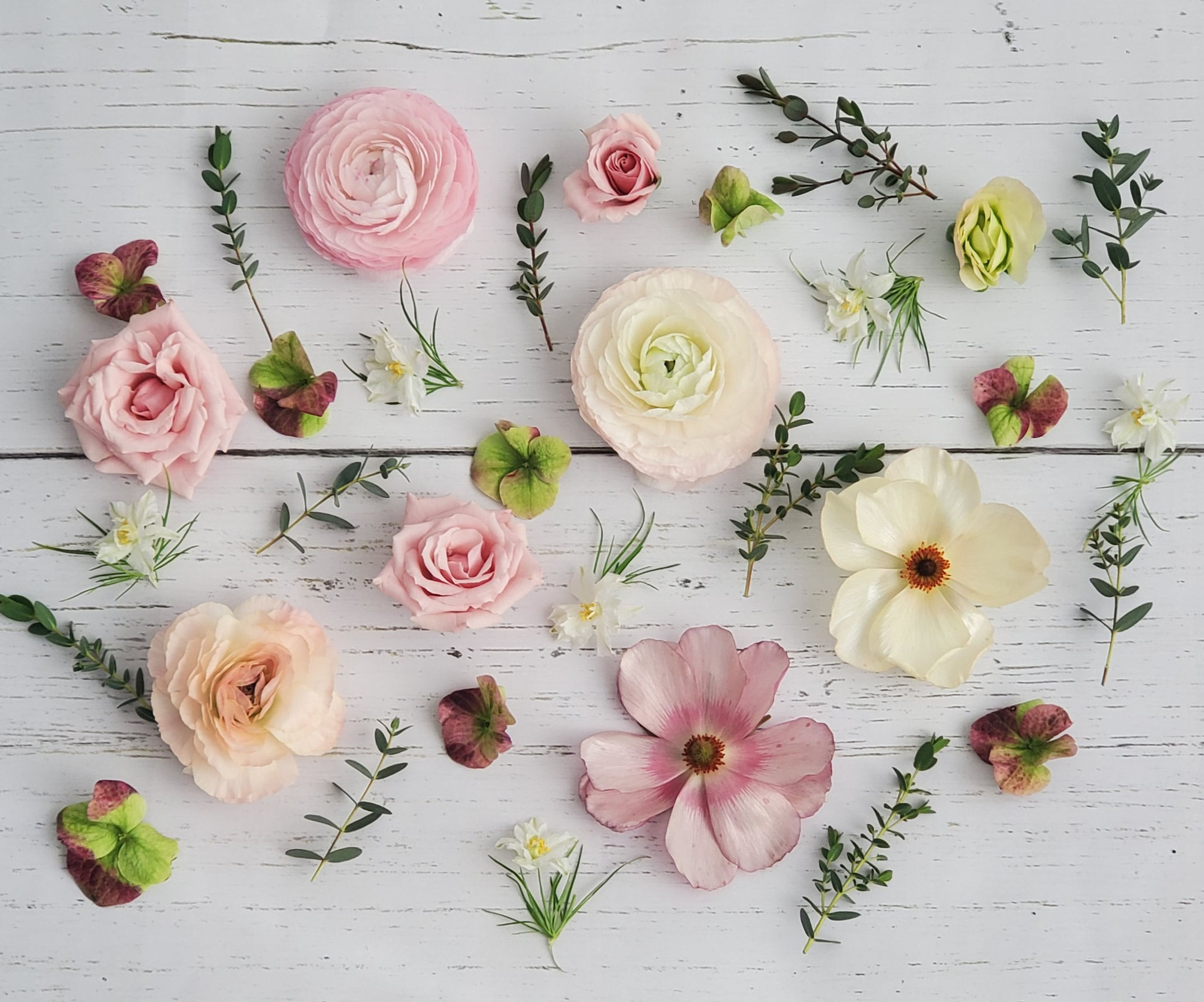 designers choice flower delivery for Valentine's Day in Providence RI