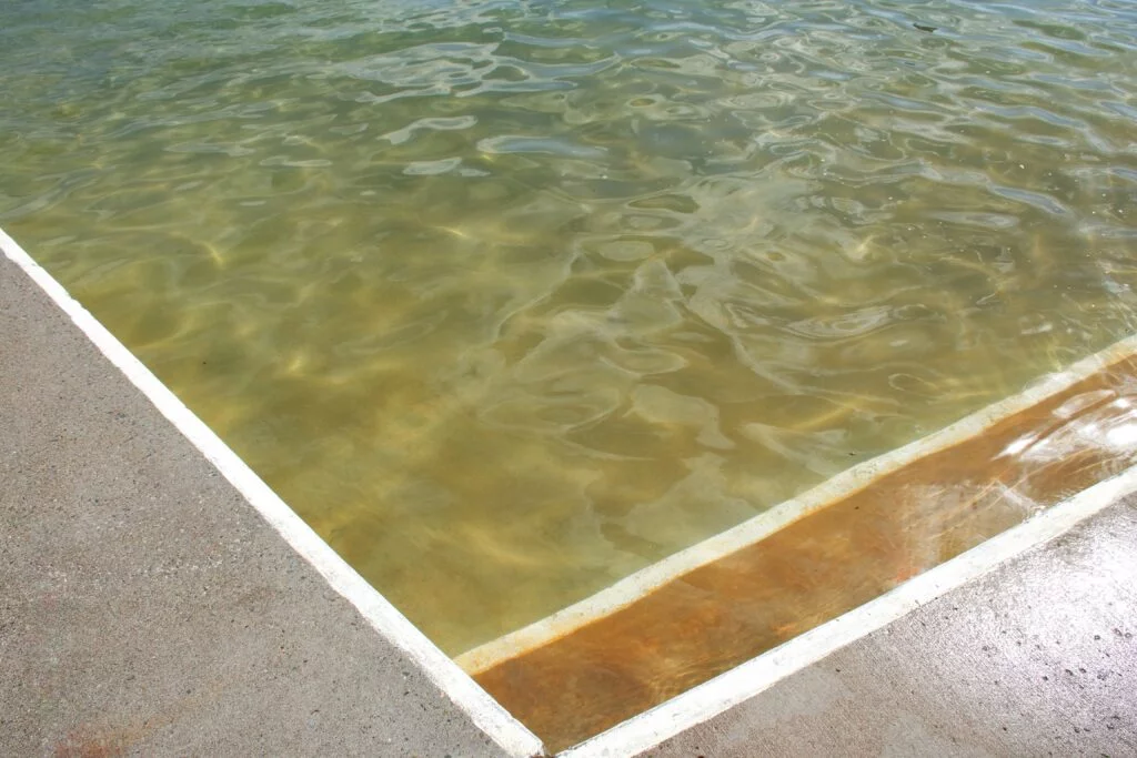 Eau marron.jpg.webp