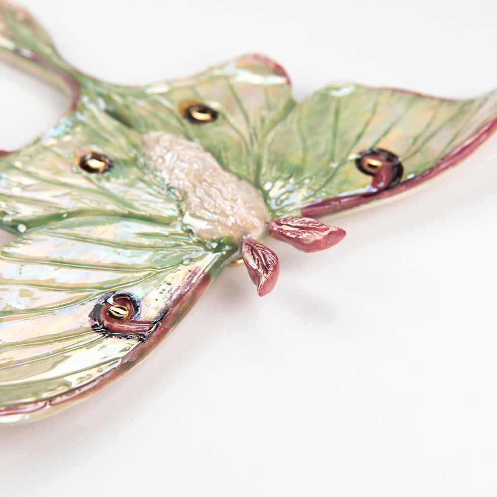 Thumbnail: Queen Luna Moth (Large)