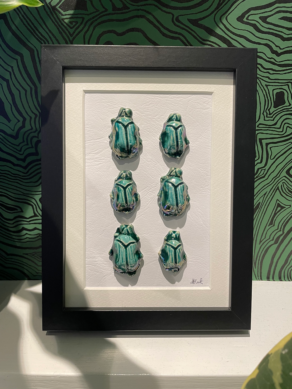 Thumbnail: Emerald Entomology Collection