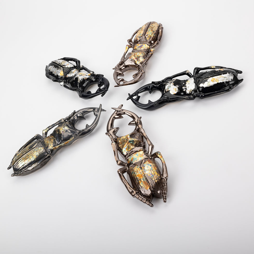 Thumbnail: Large Cosmic Stagbeetle