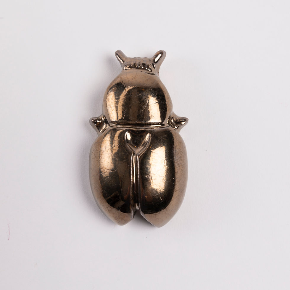 Thumbnail: My Precious Heart Beetles