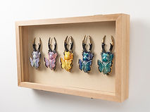 entamological april-097.jpg