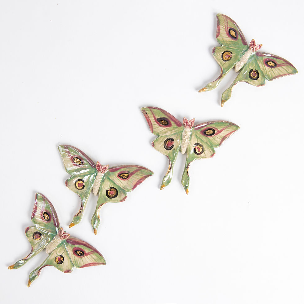Thumbnail: Luna Moth