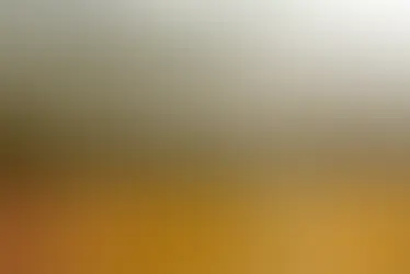 5 KEY STEPS WHEN WATER IS LEAKING FROM YOUR CEILING?