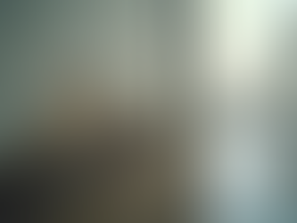 Understanding Property Damage Evaluation Services