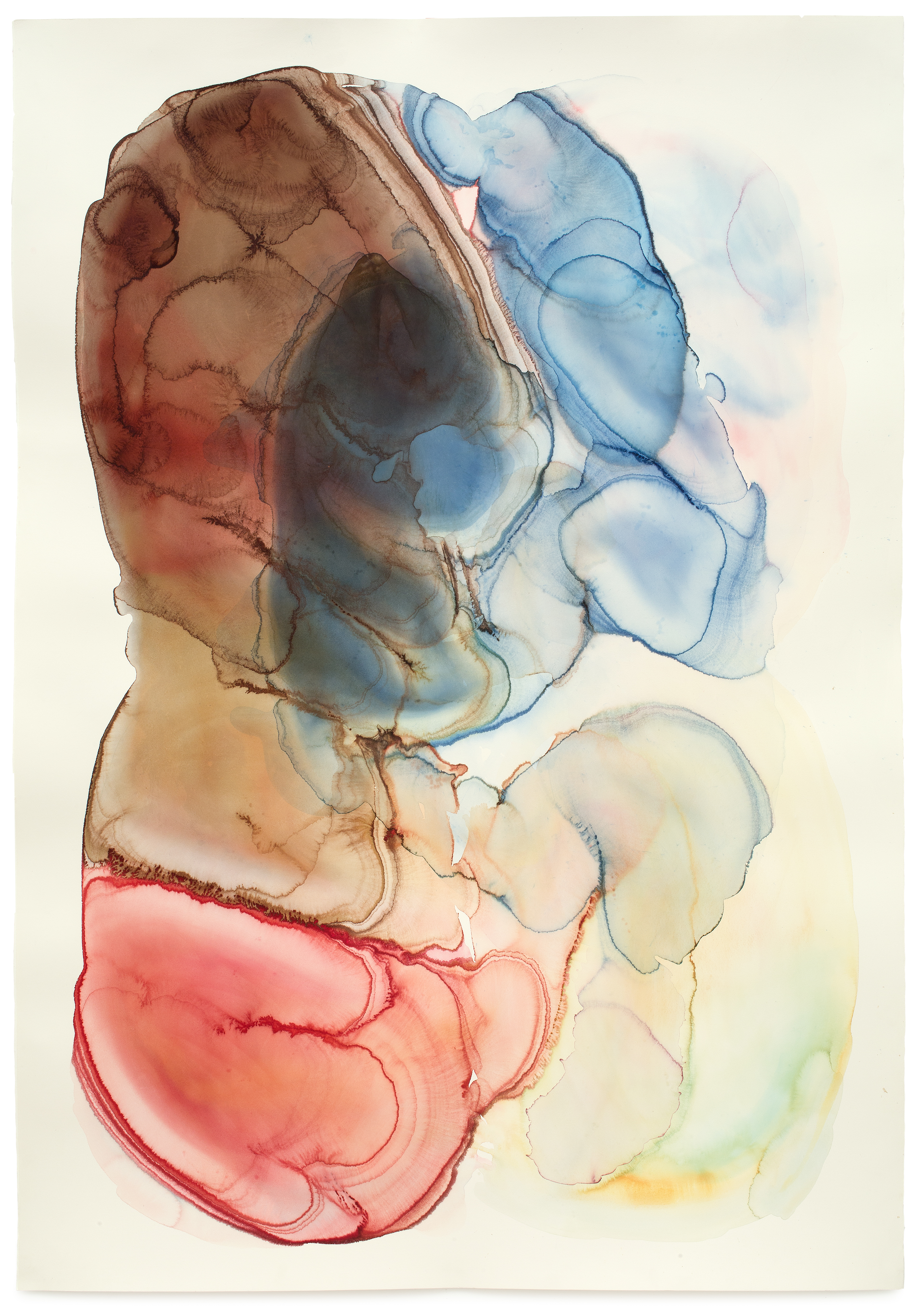 Alluvial Fan 2014