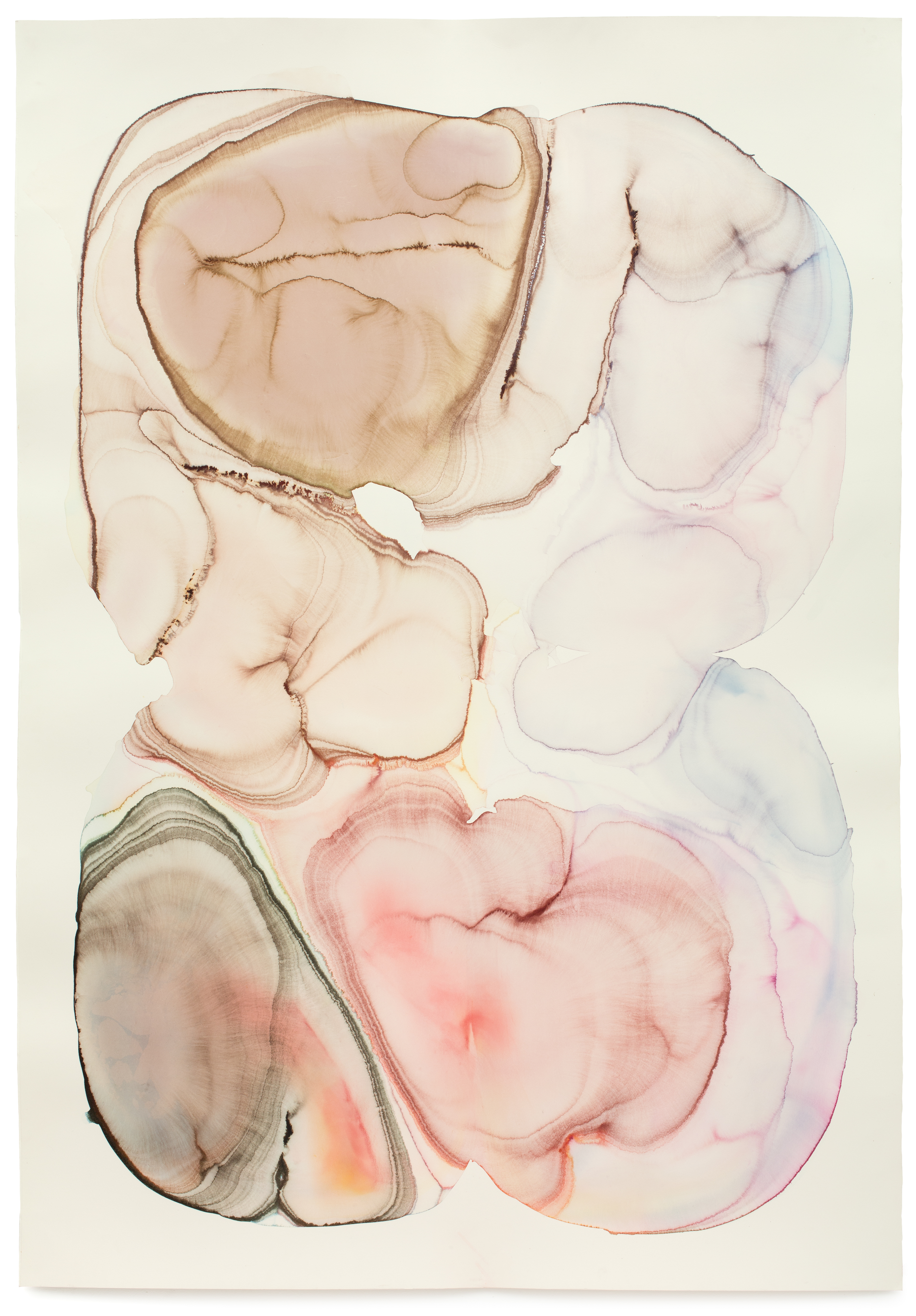 Abyssal Plain 2014