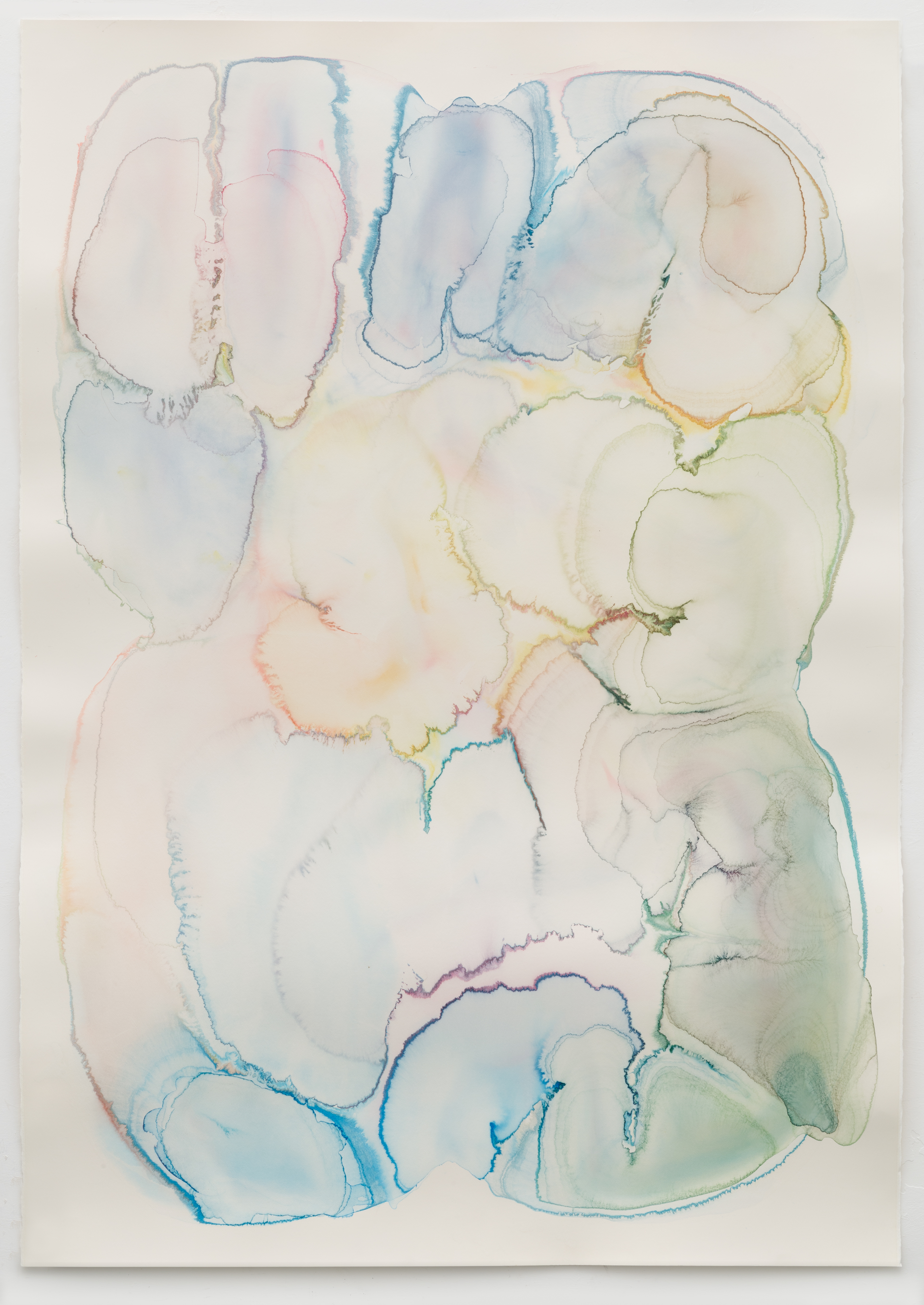 Transient Diminution 2015