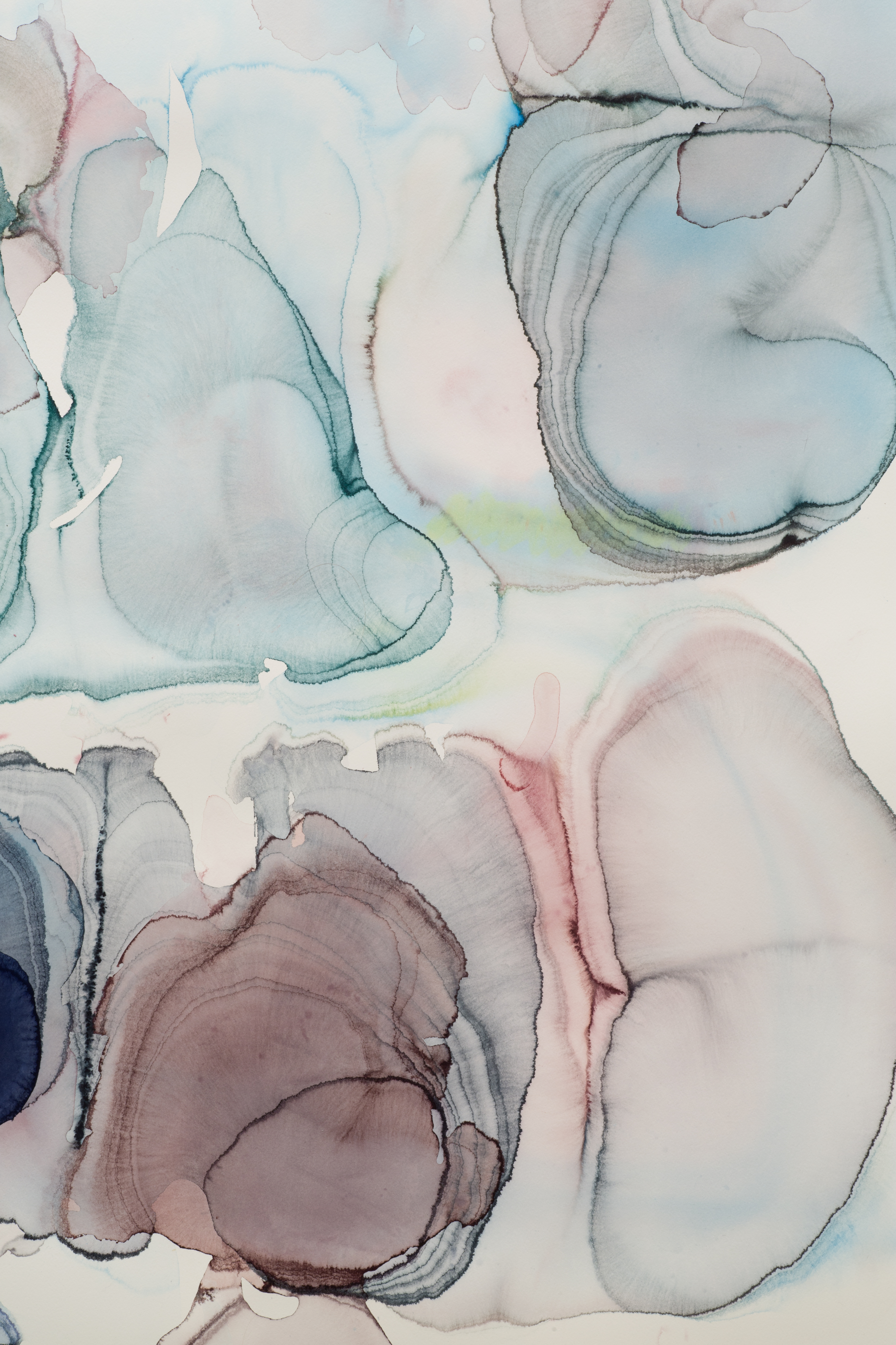 Detail 2015