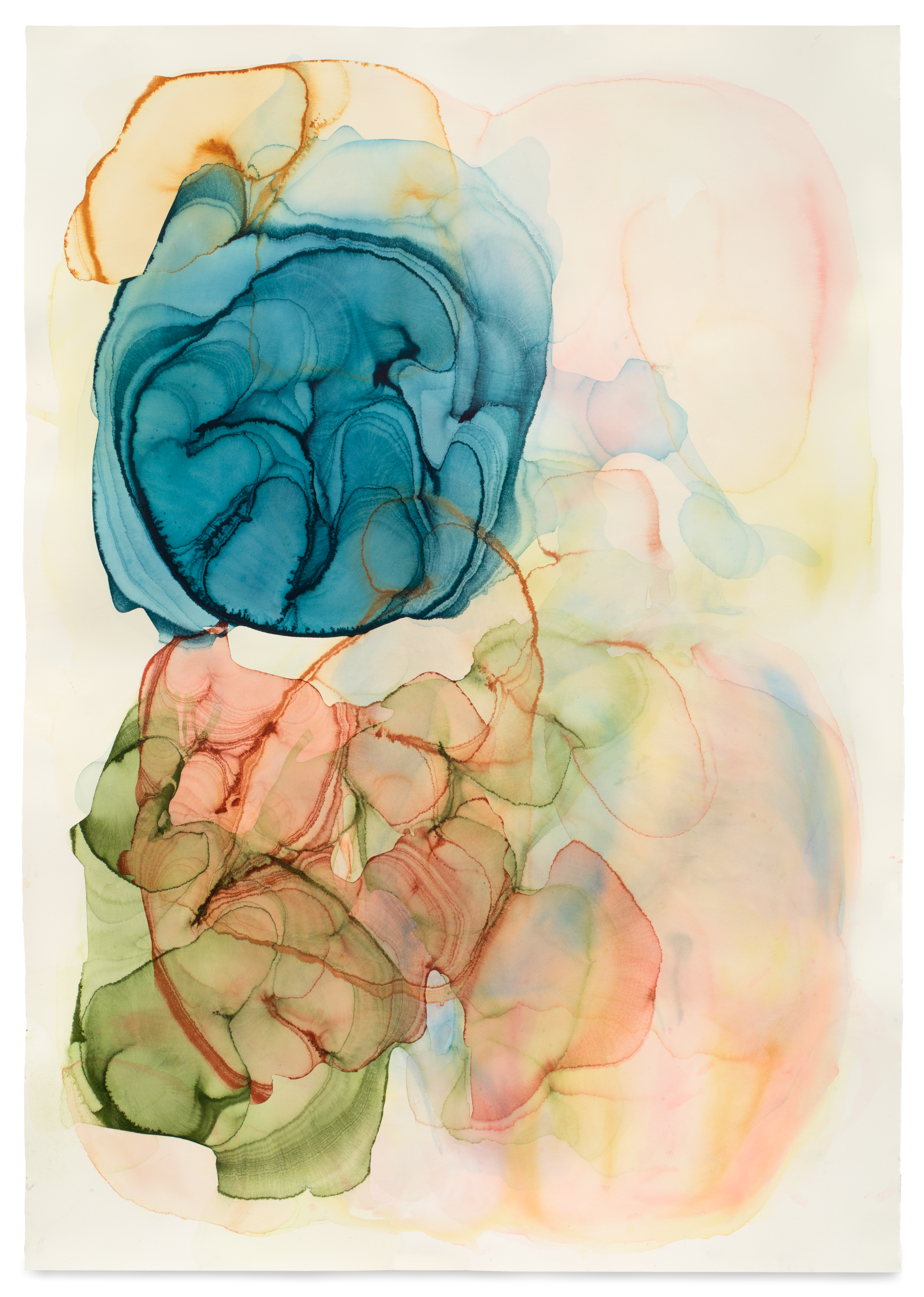 Surface of Discontinuity 2015