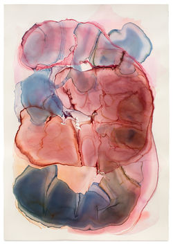 Oscillation Ripple Mark 2014