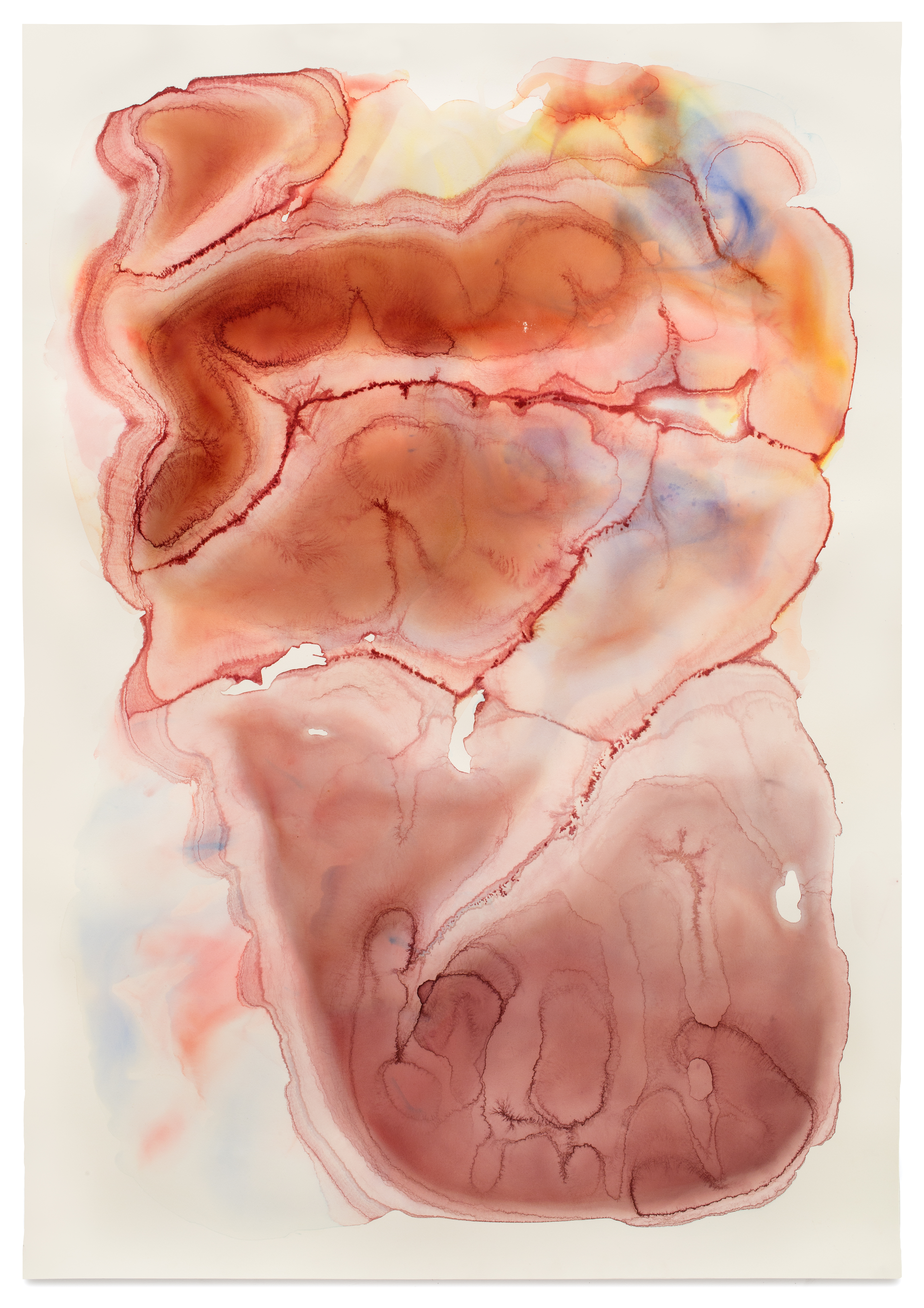 Mantle Plume 2014