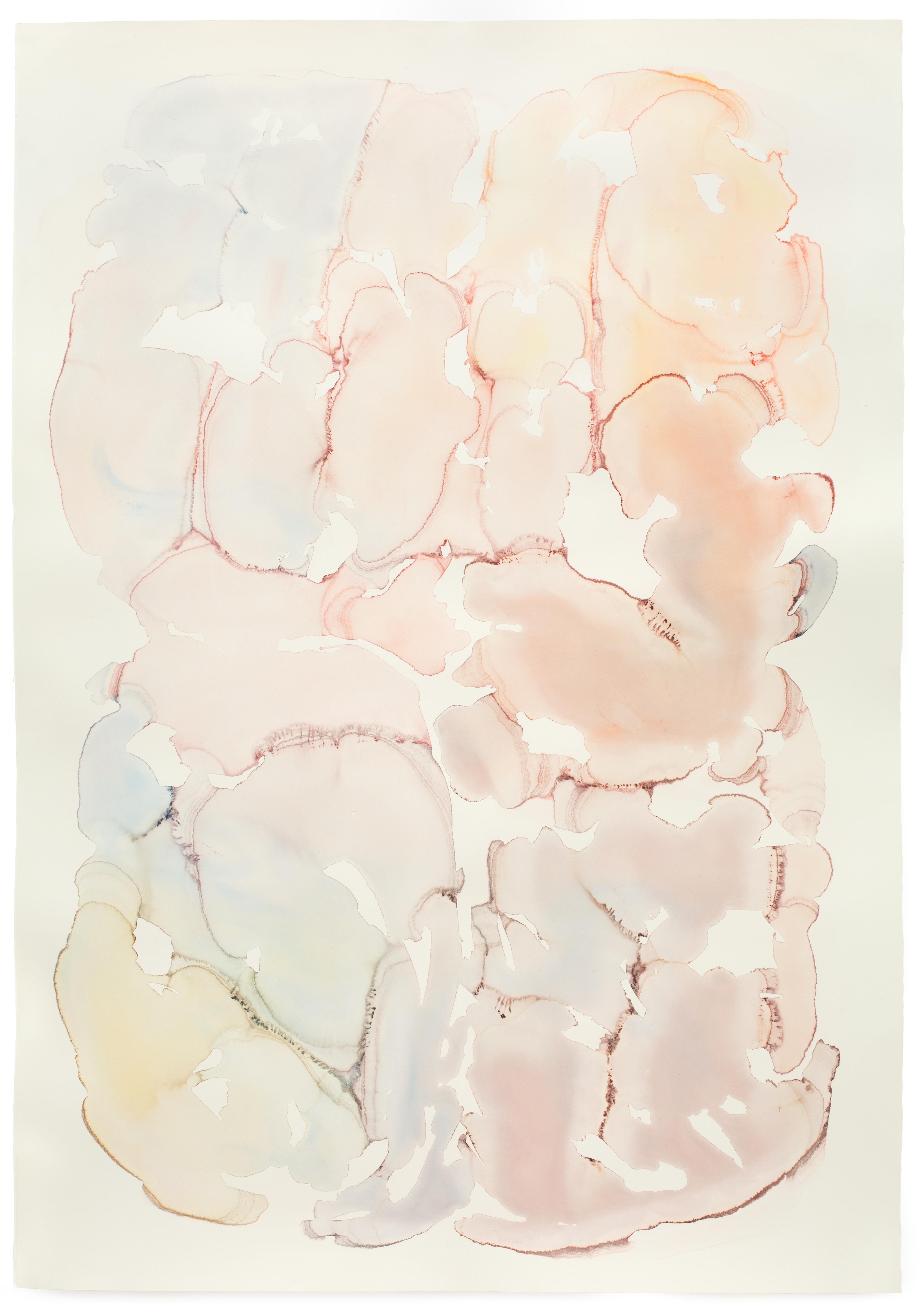 Suspended Load 2014