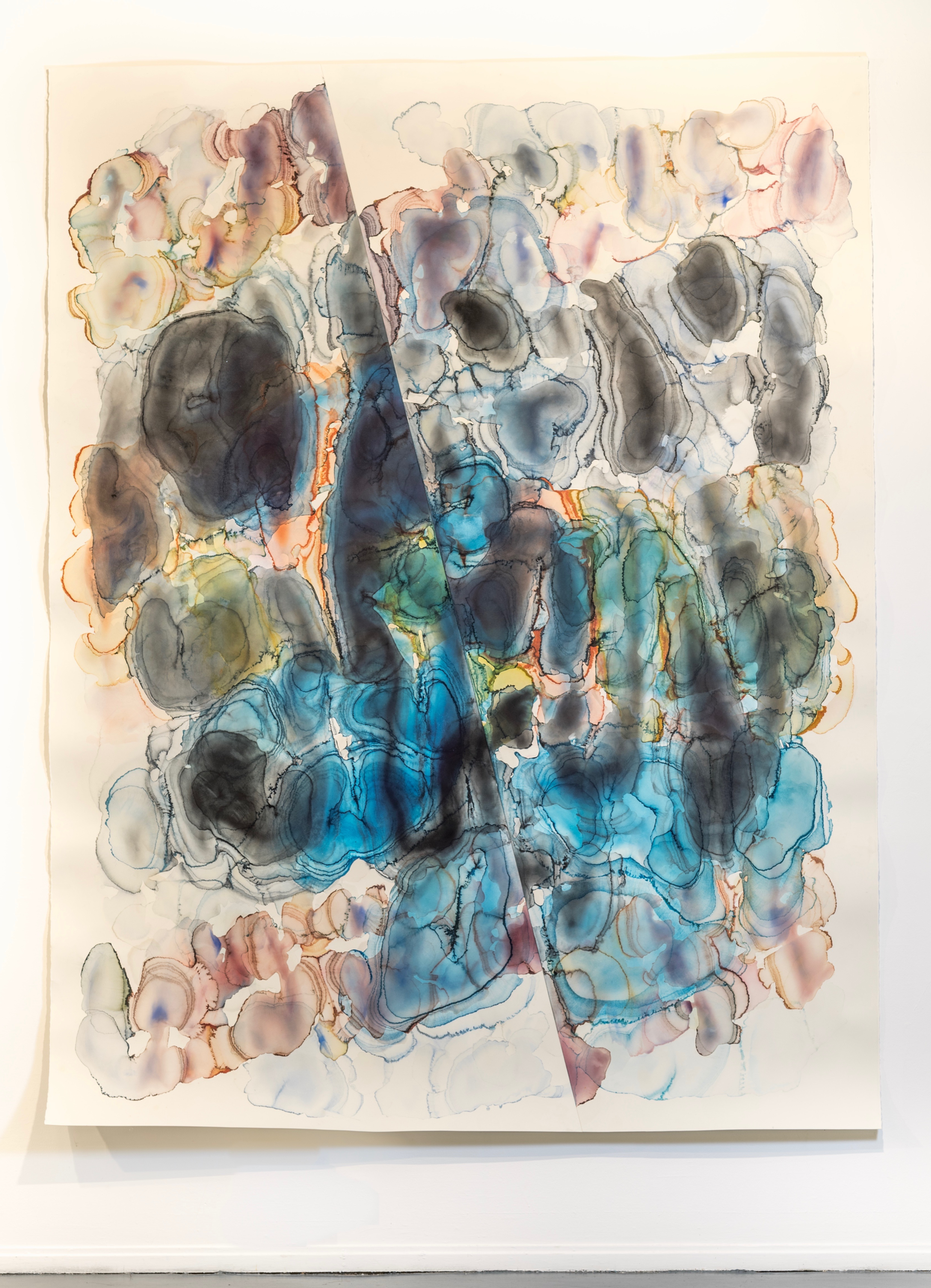 Colour Coal 2019