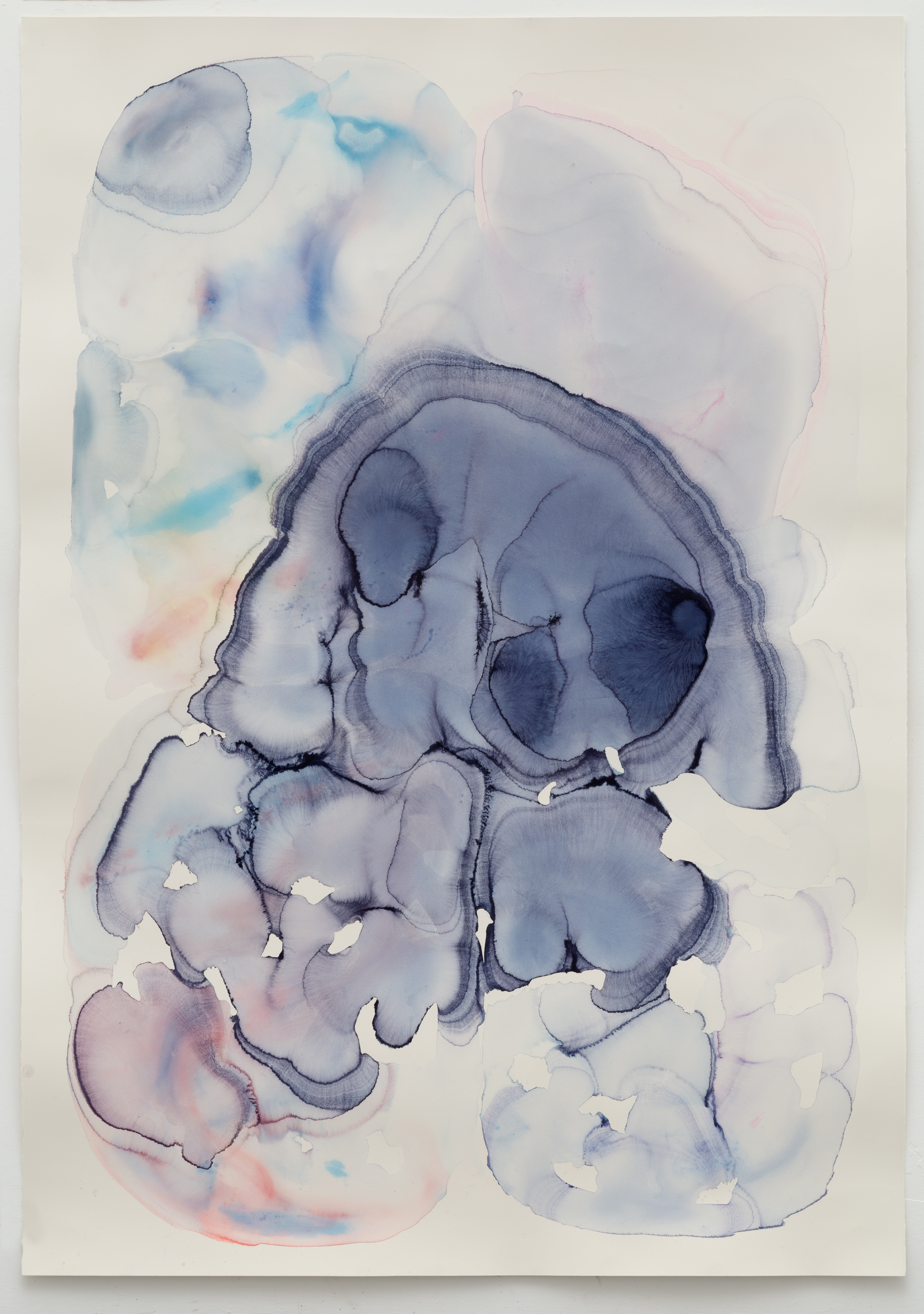 Hydraulic Gradient 2015