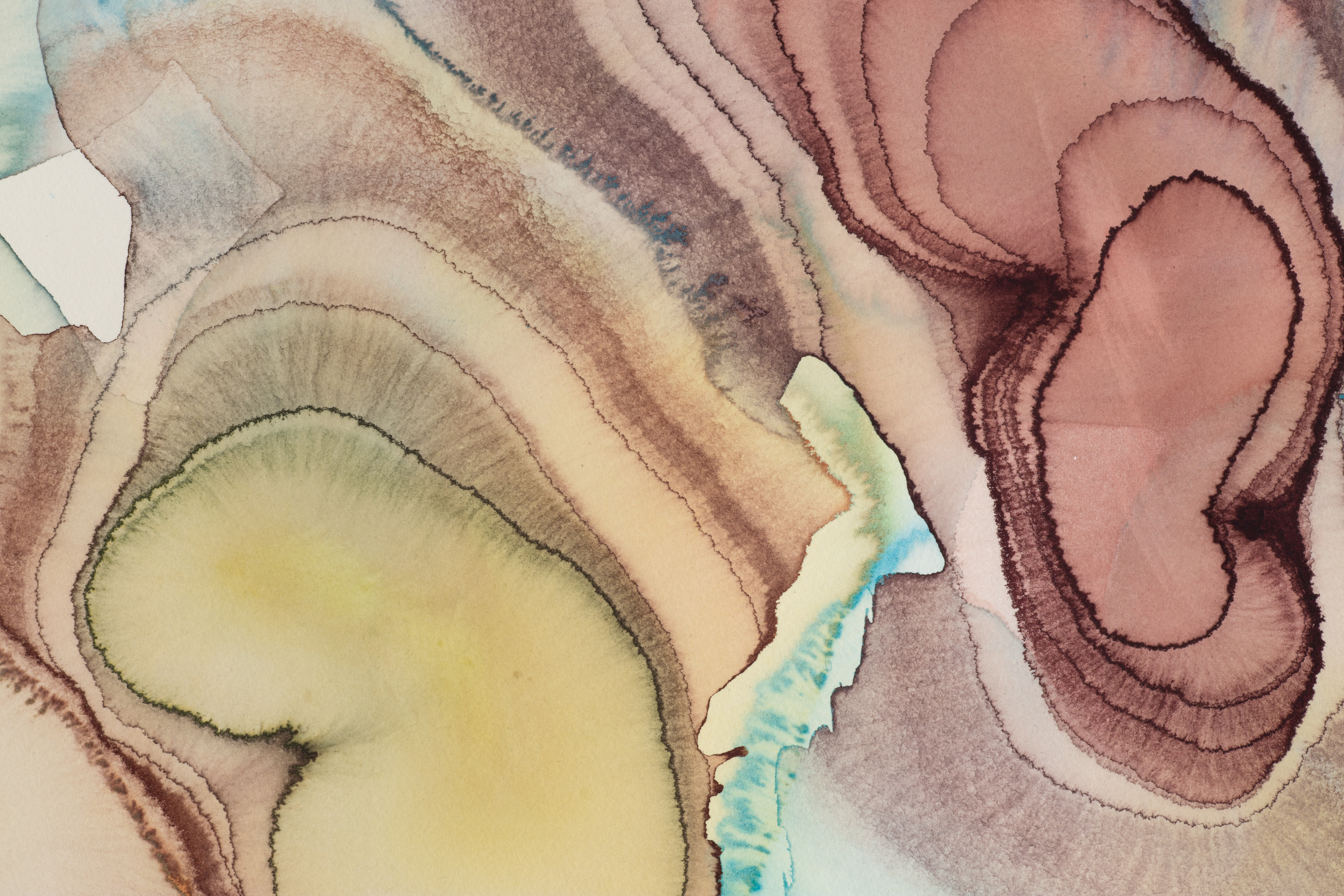 Shock Metamorphosis Detail