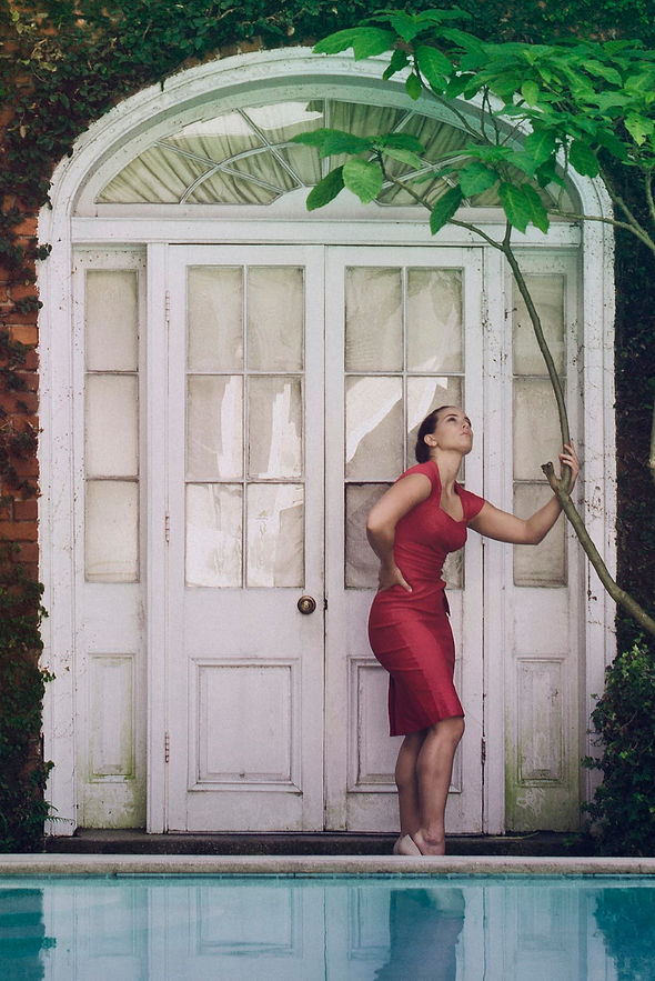 _DSC0677tc (Large).jpg