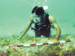 Underwater Archaeology Wing Announces Training Program for Archaeologists (ASI, 2025)