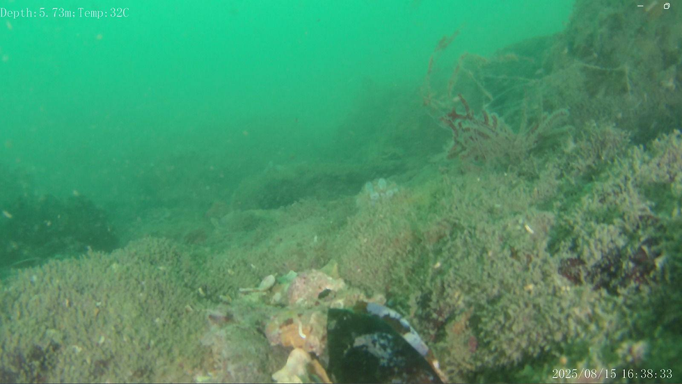 Underwater Archaeology Wing