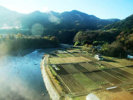 【食】こんな時代だからこそ「オーガニック」を選ぶ3つの理由