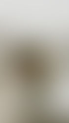 KITCHEN RESET | the one I do when I’m overstimulated