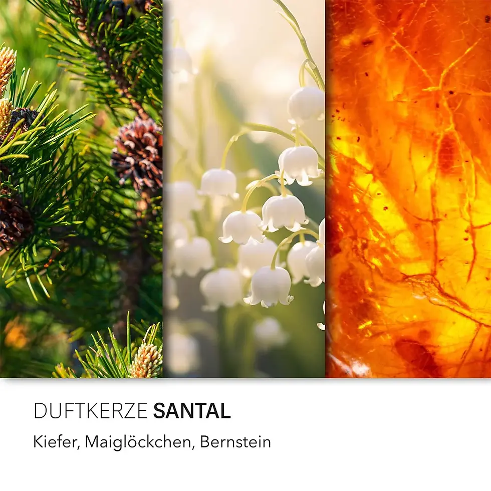 Miniature : Bougie parfumée Santal - 510g - 100h