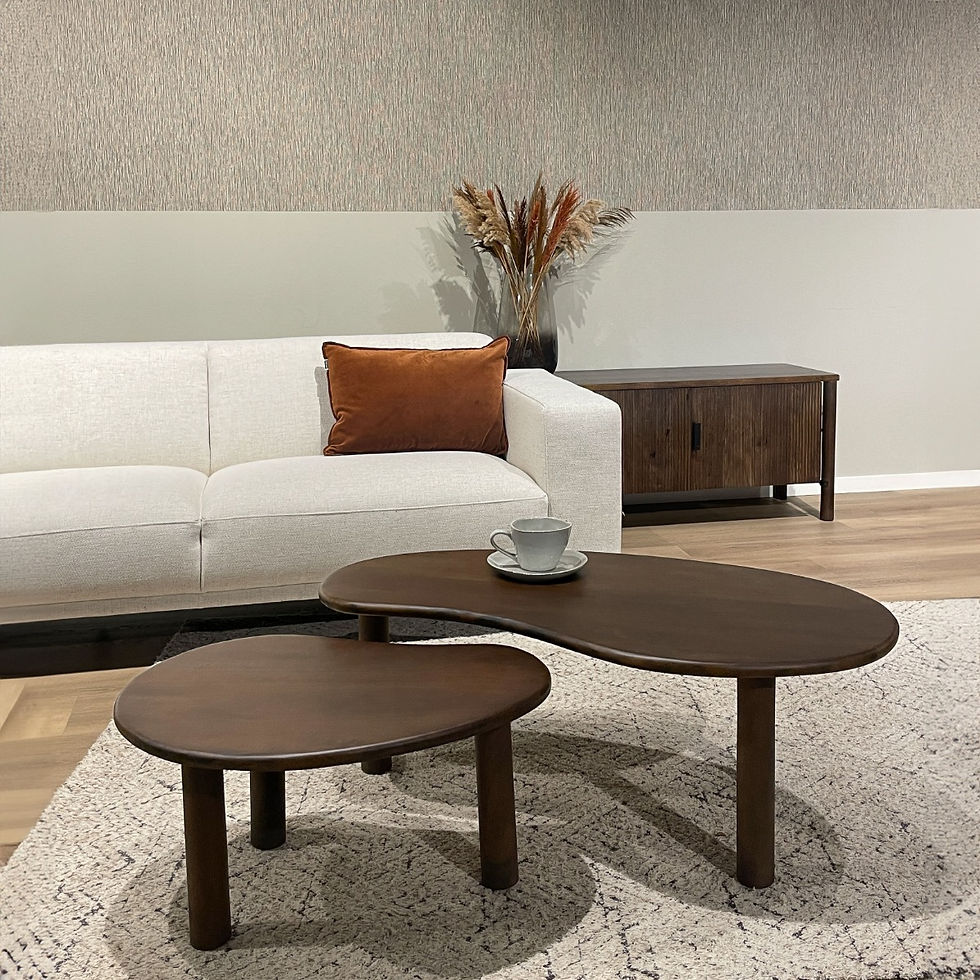 Miniature : Lot de 2 Tables basses Brix Nubi brown
