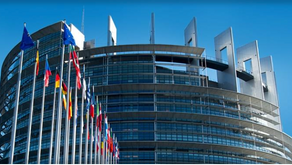 CRM Alliance contribution to the 2023 Strategic Foresight Report