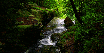Cloud Canyon Falls #waterfallgif #waterf