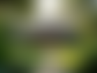 Yoga worldwide with people practicing yoga across global destinations including India, Bali, Europe and beach retreats for holistic wellness