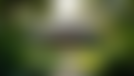 Yoga worldwide with people practicing yoga across global destinations including India, Bali, Europe and beach retreats for holistic wellness