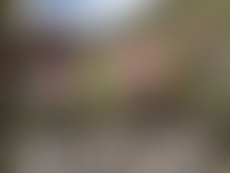 Himalayan sound healing therapy session with Tibetan singing bowls at Om Yoga Ashram Dharamshala for deep relaxation and wellness