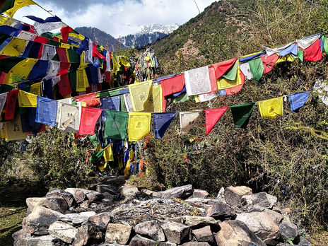 Himalayan sound healing therapy session with Tibetan singing bowls at Om Yoga Ashram Dharamshala for deep relaxation and wellness