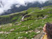 Meditation in Dharamsala