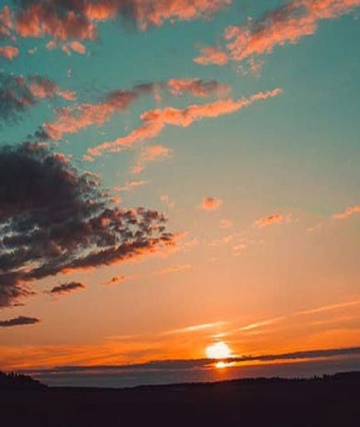 Screenshot 2025-11-11 123644.jpg