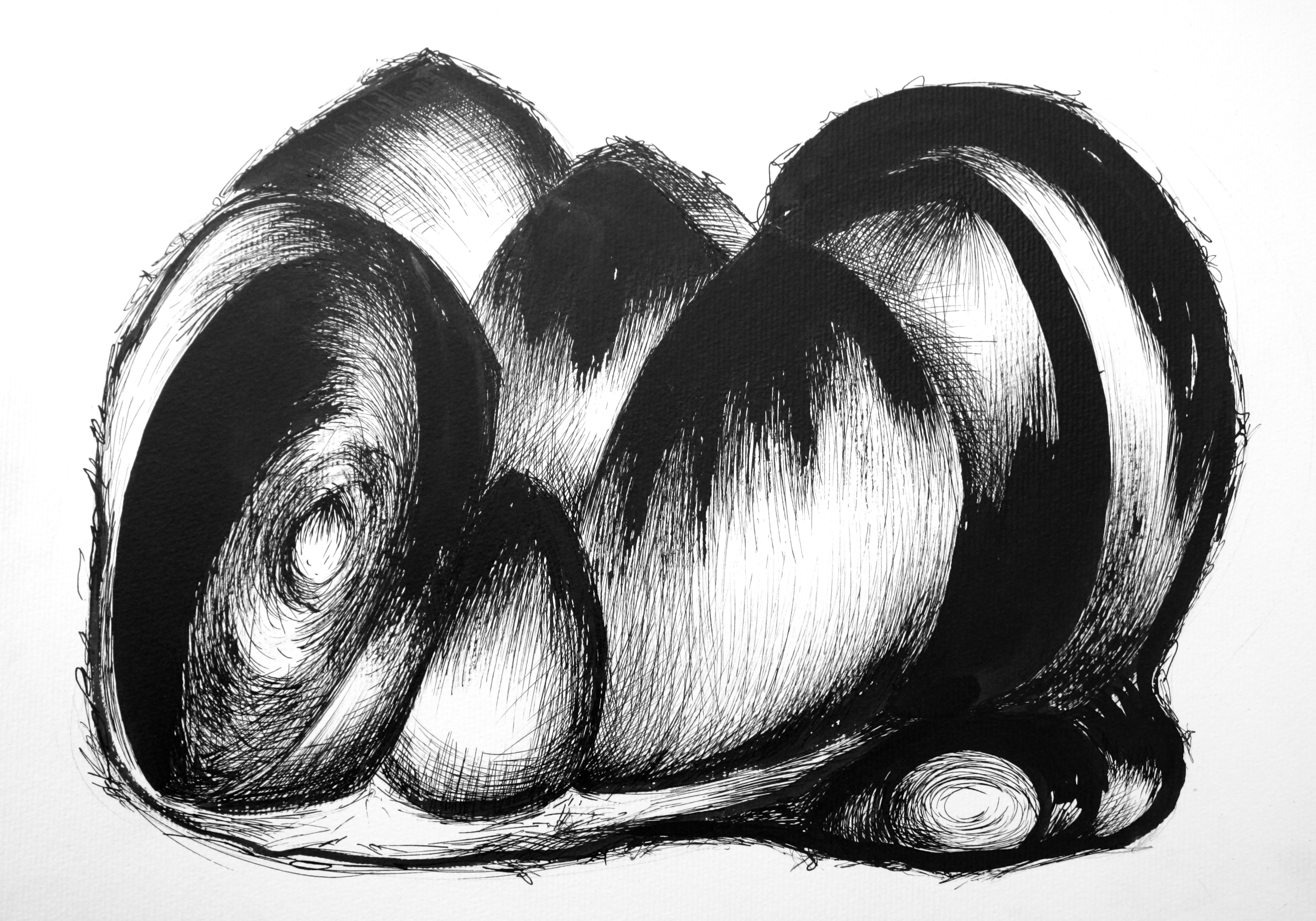 MORPHOGENÈSE
