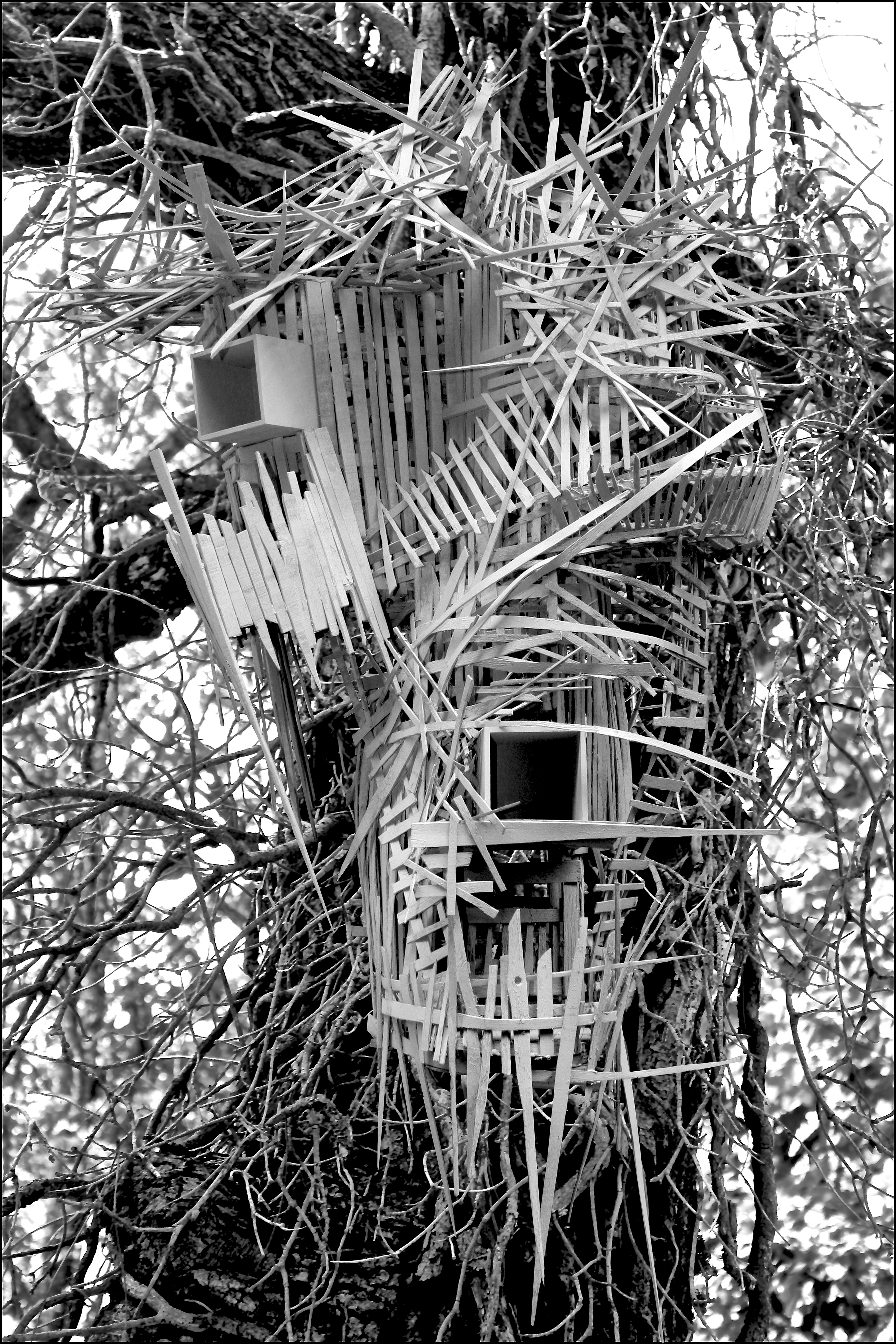 PARASITAIRE
