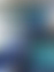 Crossfit Austur : Open Gym