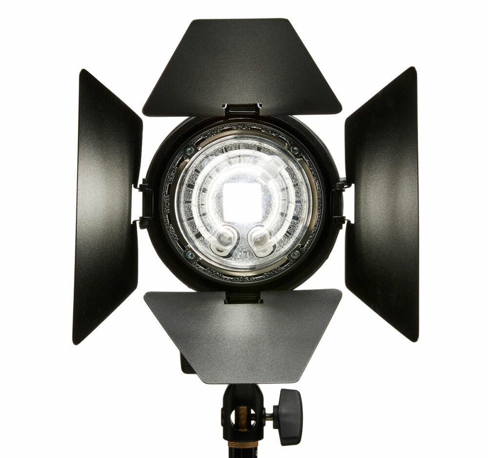 GODOX BARNDOOR