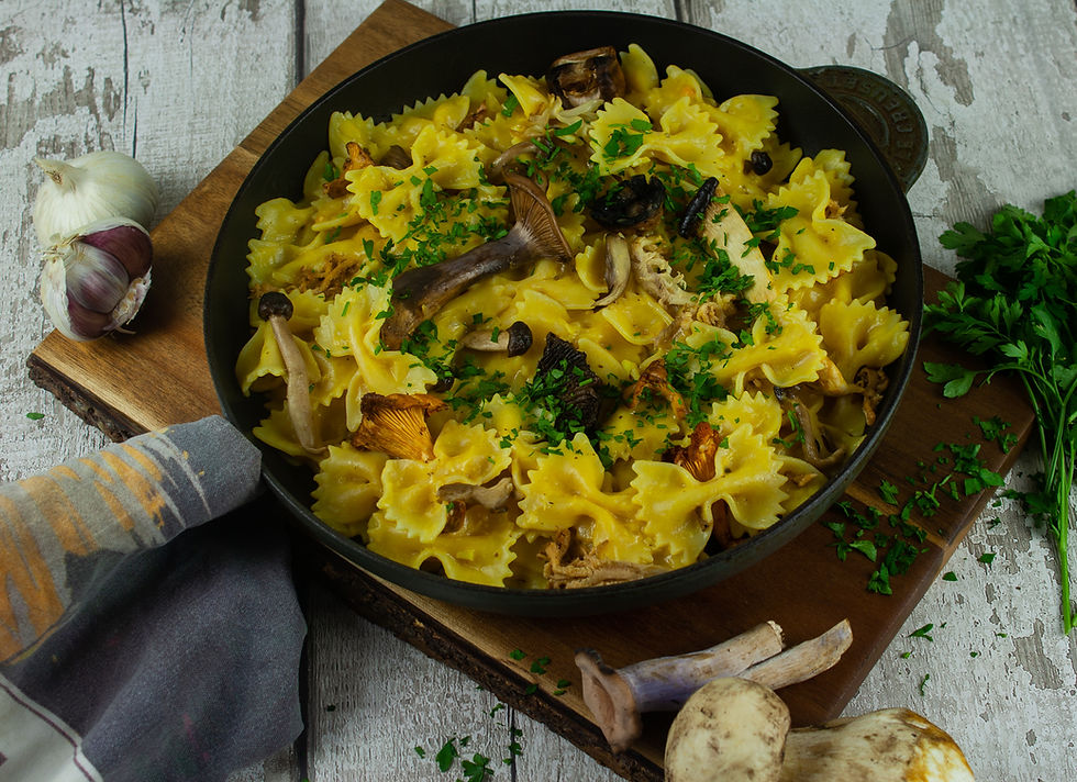 Wild Mushroom Stroganoff | Vegan Mushroom Stroganoff Recipe | Vegan and Gluten Free Recipe | Vegan and Ethical Lifestyle Blog | The Dopey Vegan