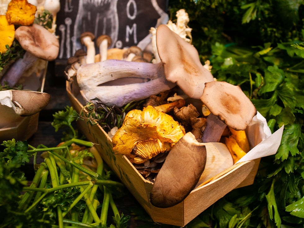 Mushroom box at Turnips Borough | Wild Mushroom Stroganoff | Vegan Mushroom Stroganoff Recipe | Vegan and Gluten Free Recipe | Vegan and Ethical Lifestyle Blog | The Dopey Vegan