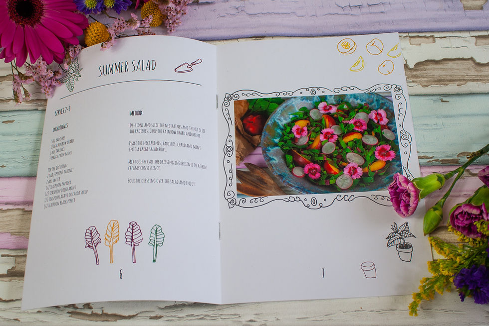 Summer Salad | The Dopey Vegan's Little Book of Summer | Little Book of Summer | Vegan zine | Vegan recipe book | The Dopey Vegan