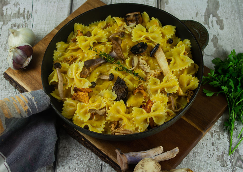 Wild Mushroom Stroganoff | Vegan Mushroom Stroganoff Recipe | Vegan and Gluten Free Recipe | Vegan and Ethical Lifestyle Blog | The Dopey Vegan