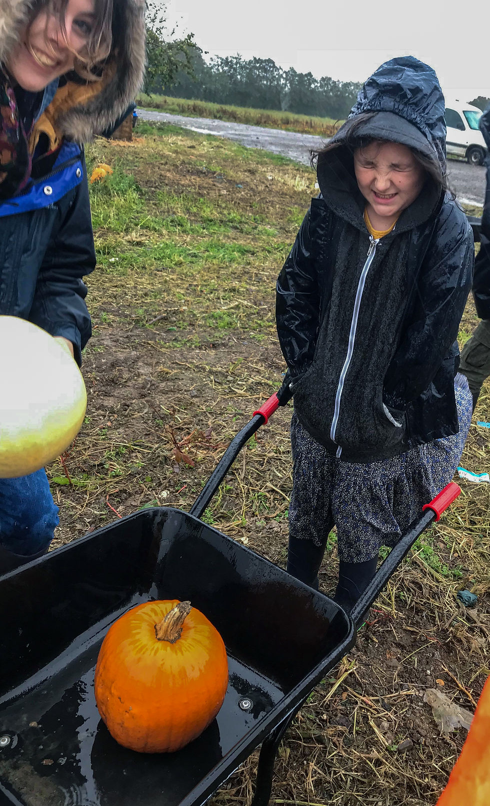 Ophelia hating the rain, while I love life Pumpkin Picking at Hewitt's Farm | Pumpkin Risotto | Vegan and Gluten Free Recipe | The Dopey Vegan