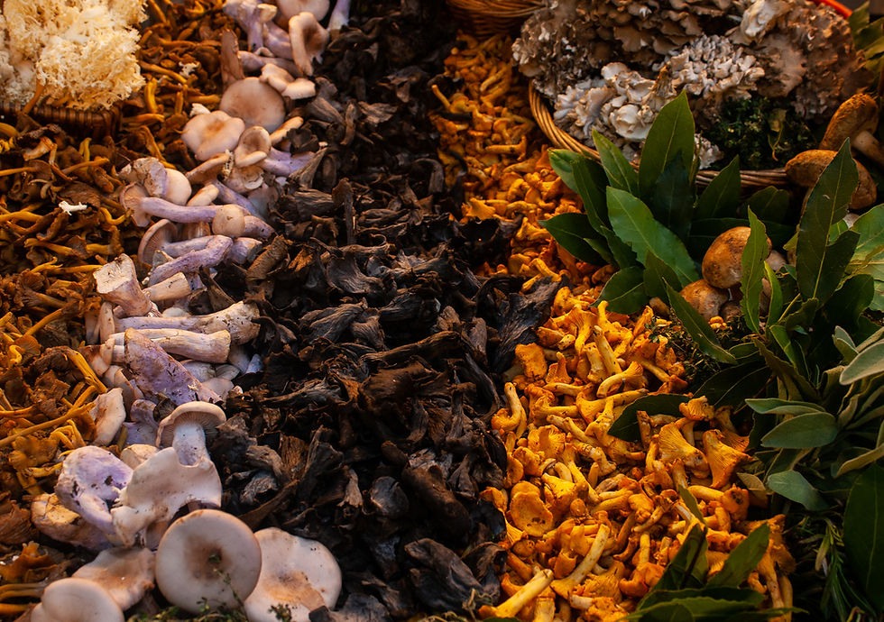 Mushroom display at Turnips Borough | Wild Mushroom Stroganoff | Vegan Mushroom Stroganoff Recipe | Vegan and Gluten Free Recipe | Vegan and Ethical Lifestyle Blog | The Dopey Vegan