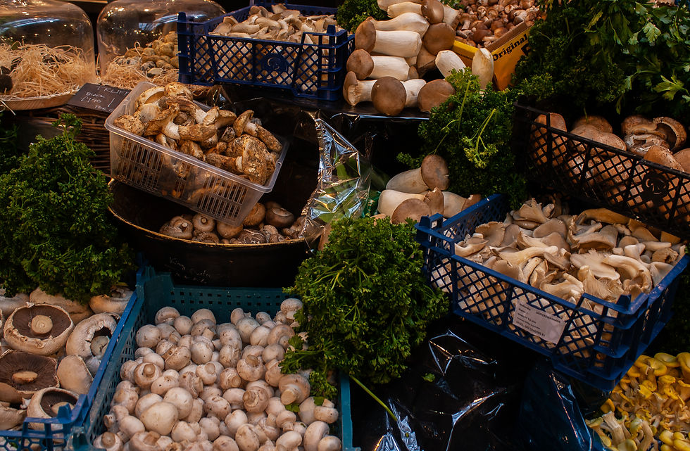 Mushroom display at Turnips Borough | Wild Mushroom Stroganoff | Vegan Mushroom Stroganoff Recipe | Vegan and Gluten Free Recipe | Vegan and Ethical Lifestyle Blog | The Dopey Vegan