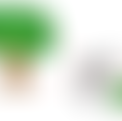 037~ The "Big lie" is...well...a big lie 🤷♂️