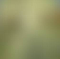 038~Blog (H)epilogue !